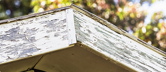 rotted fascia boards