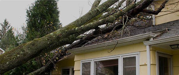 Storm roof repair insurance claim assistance for Delafield roofs