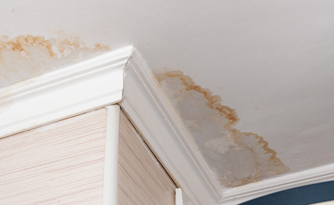 Deerfield Repair Services for Attic water Damage